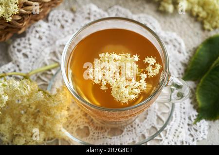Elderberry flowers collected in spring in a cup of herbal tea on a table Stock Photo