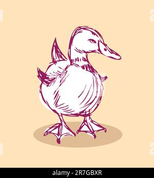 duck vector Isolated on background Tattoo retro style Stock Vector