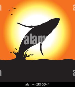 A humpback whale silhouette jumping at sunset. Editable vector illustration. Stock Vector