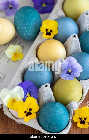 easter decoration with painted eggs and viola flowers in egg carton Stock Photo