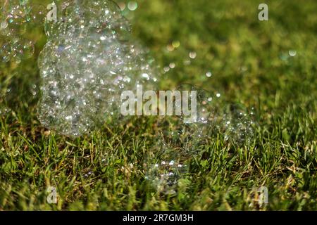 Colorful bright soap bubbles on summer natural green grass background in sunlight. Spring or summer holiday season. Symbol of happy childhood, purity, Stock Photo