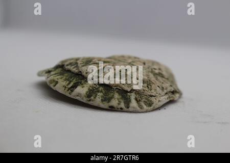 Green and yellow textured cockle shell, found along the River Thames, by Woolwich, London, UK. Stock Photo