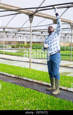 African american man opens a faucet for watering flowers from above in greenhouse Stock Photo