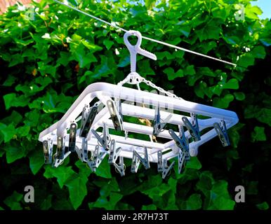 Clothes pegs hanging on the line against ivy backdrop Stock Photo
