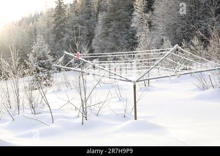 Outdoor clothes dryer and beautiful forest on winter day Stock Photo