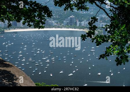 View of Botafogo district coastline with Guanabara bay waters full of  sailboats and vessels anchored nearby the Yatch Club under summer sunny day  Stock Photo - Alamy