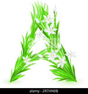 One letter of spring flowers alphabet - R. Illustration on white ...