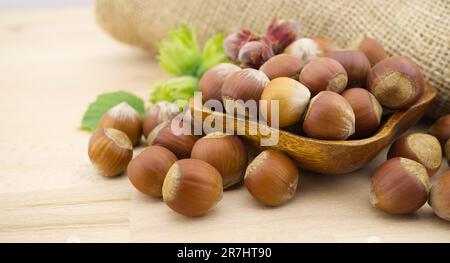 Fresh Unshelled Hazelnuts Beside The Jute Sack On A Wooden Table With 