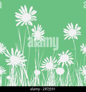 Floral seamless background camomile flower. Vector illustration. Stock Vector