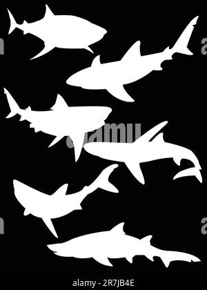 collection of sharks silhouette isolated on black - vector Stock Vector