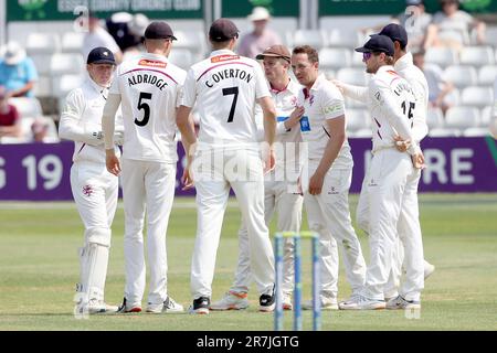 Josh Davey of Somerset celebrates with his team mates after taking