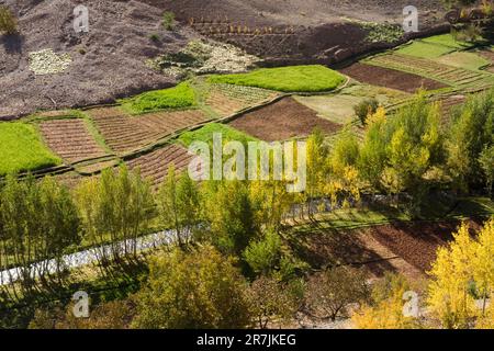 Small cultivated fields along a river outside the Berber village of ...