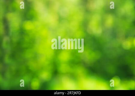 Green abstract natural blurred background. Copy space, defocused. Stock Photo