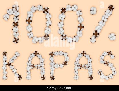 Lettering 100% kapas from Indonesian language means cotton, made of cotton flowers. Concept of organic raw material. Stock Photo