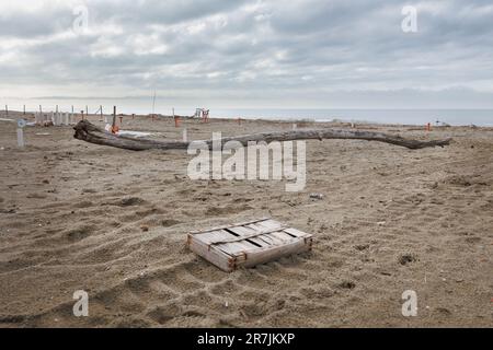 Wooden Box with Rusty Nails, Tree Trunk, Umbrella Poles and other Abandoned Objects lying on the Desolate Beach in Winter Time. Stock Photo