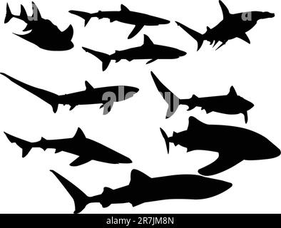 sharks collection - vector Stock Vector