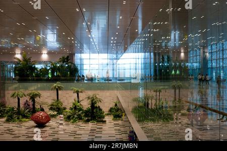 Singapore Changi Airport Terminal 3 Greenwall 