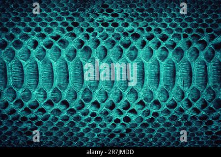 blue snake skin texture, colored python leather as background Stock Photo