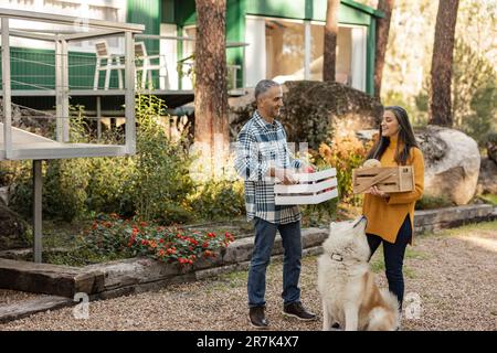 Man and woman carrying crates with freshly harvested organic vegetables talking at farm Stock Photo