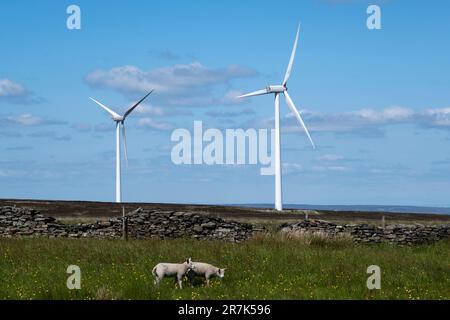Wind turbines on Ovenden Moor in West Yorkshire on 5th June 2023 in Ogden near Halifax, United Kingdom. Ovenden Moor Wind Farm is a wind powered electricity generating site located north of Halifax in West Yorkshire which was opened in 1993 with 23 turbines. They have been subject of continued criticism and objections. Stock Photo