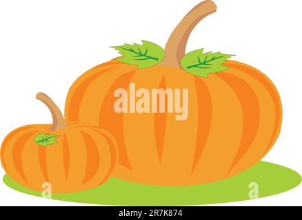 The big pumpkin. Two pumpkins on a bed. Stock Vector