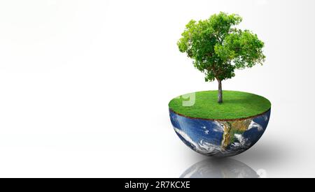 Plant growing on the half sphere of earth with grass. Isolated on white background. World Ecology, World Environment Day, World Earth Day, and Saving Stock Photo