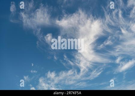 Image filling view of cirrus or feather clouds against a blue sky with a half moon between the clouds Stock Photo