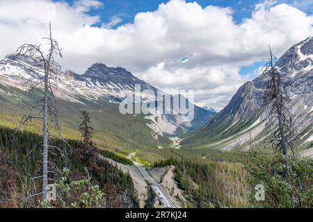 High angle view over the valley with road of Icefields Parkway near The Big Bend, Alberta, Canada, towards the snowcapped Cirrus Mountain range in the Stock Photo