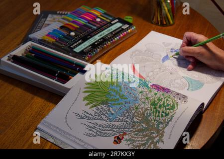 Adult Crafting - Colouring with pencils and felt tip pens Stock Photo