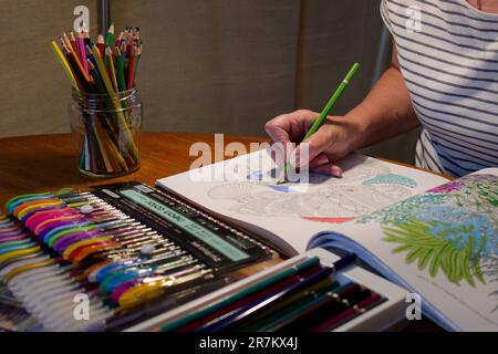 Adult Crafting - Colouring with pencils and felt tip pens Stock Photo