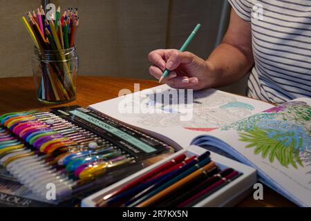 Adult Crafting - Colouring with pencils and felt tip pens Stock Photo