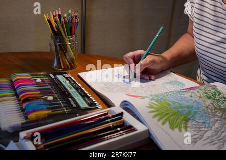 Adult Crafting - Colouring with pencils and felt tip pens Stock Photo