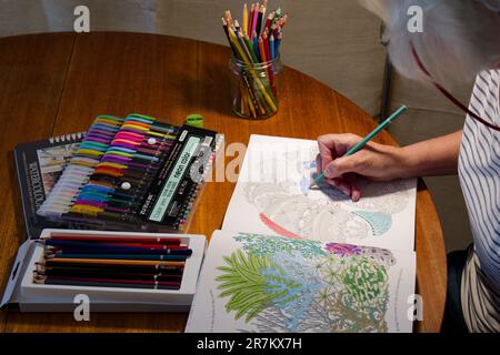 Adult Crafting - Colouring with pencils and felt tip pens Stock Photo