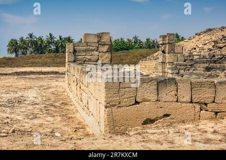 Al Baleed Archeological Park in Salalah, Dhofar Governorate, Oman, part of the Land of Frankincense UNESCO World Heritage Site. Stock Photo