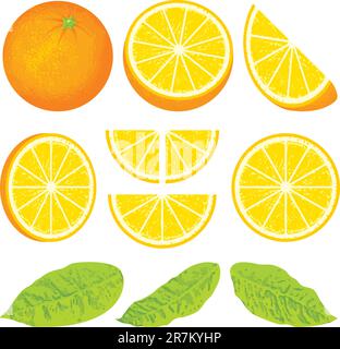 Orange and slices at different angles, also three versions of leafs all with grunge shading. Stock Vector