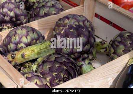 Heads of fresh organic artichoke flowers, edible vegetables purple romanesco artichokes on market. Stock Photo