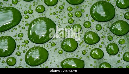 water drops on green background 01 Stock Photo
