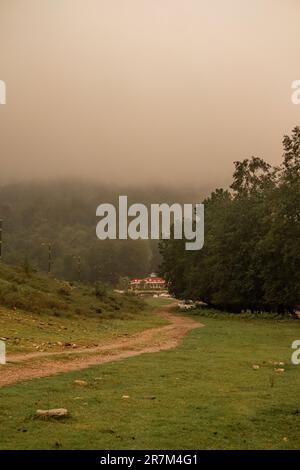 A majestic brown horse stands atop a grassy hill, silhouetted against a breathtaking landscape Stock Photo