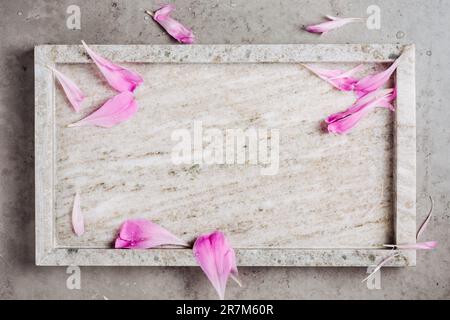 Empty beige marble slab, tray with pink peony flower petals, top view. Minimal mockup for product presentation. Stock Photo