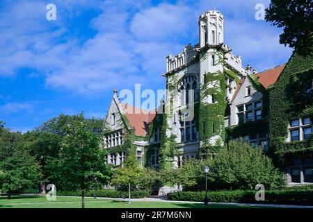 Ivy covered gothic style buildings, University of Chicago Stock Photo