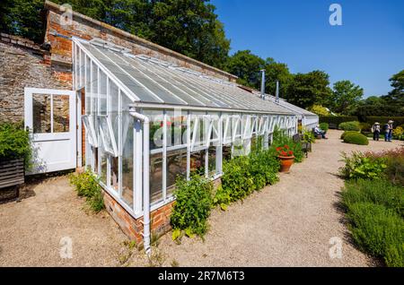 A traditional old-fashioned lean-to design glasshouse (greenhouse) at Loseley, near Guildford, Surrey, south-east England, UK Stock Photo