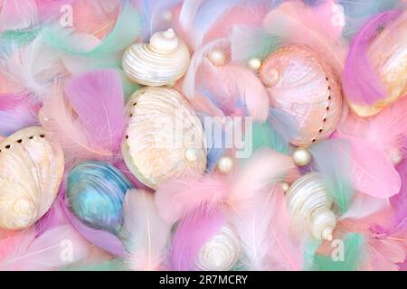 Mother of pearl seashells, feathers and oyster pearls. Abstract beautiful nature background with feminine soft theme. Stock Photo