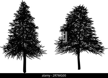 illustrations of christmas trees, fir tree, vector format. leaves can be re-arranged. Stock Vector