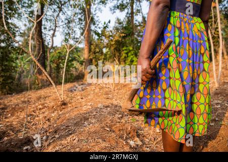 Close-up of the hoe held by a peasant woman before hoeing the field in Africa Stock Photo