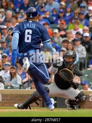 Baltimore Orioles' Adley Rutschman looks on before a baseball game against  the Oakland Athletics, Friday, Sept. 2, 2022, in Baltimore. (AP Photo/Nick  Wass Stock Photo - Alamy