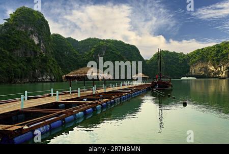 Fisher village in Halong Bay, Vietnam Stock Photo