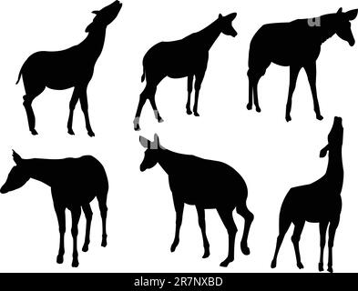Okapi animal silhouettes, Okapi silhouettes, Okapi clipart, Okapi ...