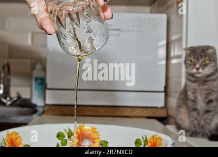 Female hand pours oil from a transparent glass cup into a metal bowl on the background of the kitchen interior. baking, cooking. Stock Photo