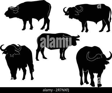 buffalo collection - vector Stock Vector