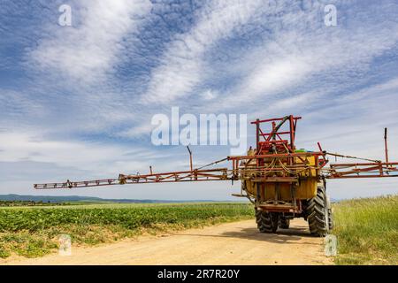 Tractor on agricultural field, road between oat and potato fields Stock Photo